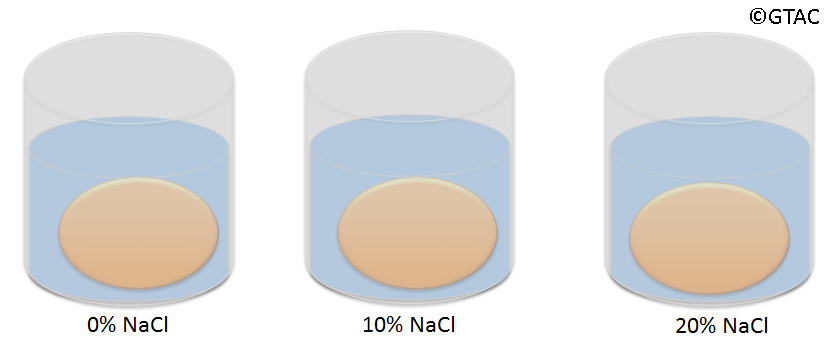 Egg-in-NaCl-setup-publish